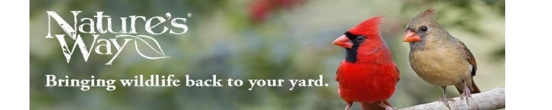 Bring Nature to Your Window